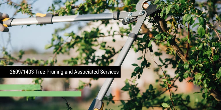 New Contract: 2609/1403 – Tree Pruning and Associated Services