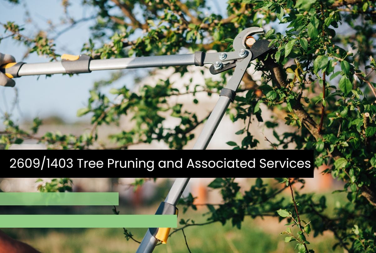 26091403 Tree Pruning and Associated Products (2)