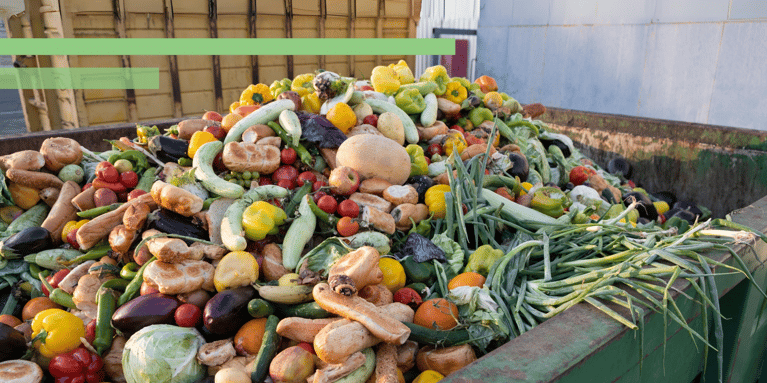 Waste not, want not: Australia’s alarming food waste crisis sparks urgent calls for circular solutions and collaborative action