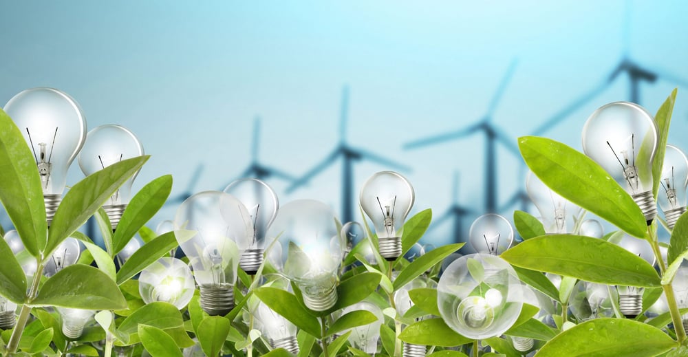 Energy News: July 2020