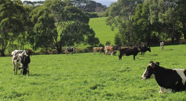 Dairy industry combats food waste