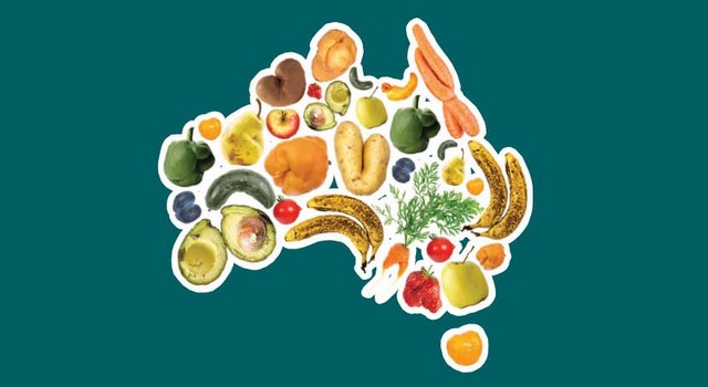Project fights food waste